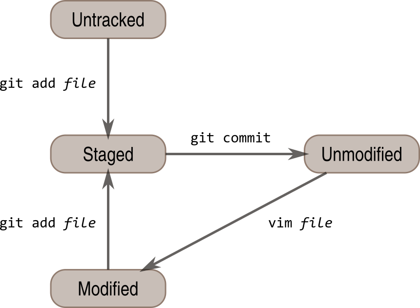 Git workflow illustration.