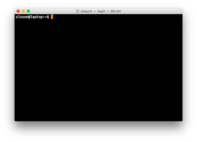 Bash shell running in a Mac Terminal.